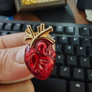 Anatomical red resin heart brooch with gold metal vessels held in hand