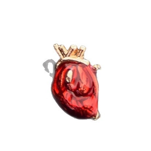 Anatomical heart brooch in red enamel with golden metal blood vessels on white background