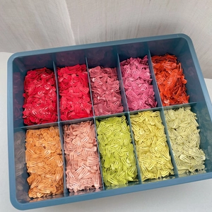 Gros plan de barrettes à cheveux colorées de 2 cm dans une boîte à 10 compartiments