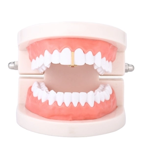 Single gold tooth grillz bar for hip hop cosplay on realistic tooth model base