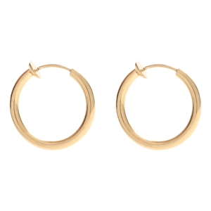 Classic gold stainless steel hoop earrings for unisex with a minimalist polished finish