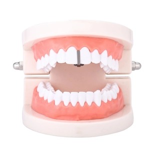 Detailed macro view of a hip-hop style silver metal bar accent on a dental model teeth