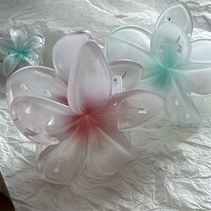 Détail de pinces à cheveux fleur mate avec dégradé nacré en rose et bleu pastel