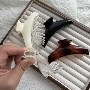 Lot de pinces à cheveux minimalistes brillantes en ivoire, noir, écaille et transparent