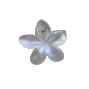 Elegant pearlescent white Plumeria hair claw clip with shell luster for women styling