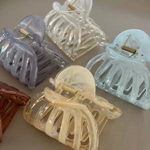 Fünf sortierte Haarklammern in Pastellfarben aus Harz für dickes Haar Styling-Set