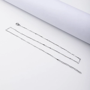 Détail du collier en acier inoxydable argenté avec fermoir mousqueton et chaîne d'extension