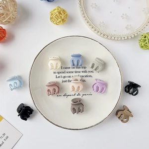 Lot de 11 mini pinces à cheveux mates en couleurs assorties sur une assiette décorative