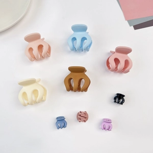 Pinces à cheveux mates aux couleurs pastel assorties pour coiffures élégantes