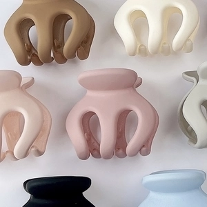 Ensemble de pinces à cheveux mates aux tons Morandi pour queues de cheval variées