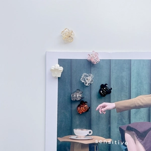 Set de mini pinces à cheveux fleurs en couleurs pastel transparentes pour femmes