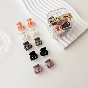 Lot de mini pinces à cheveux mates aux tons Morandi avec une boîte de rangement