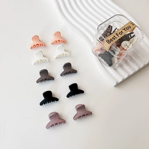 Détail du lot de mini pinces à cheveux mates couleurs Morandi avec boîte de rangement