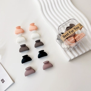 Lot de 10 mini pinces à cheveux mates aux tons Morandi avec boîte de rangement
