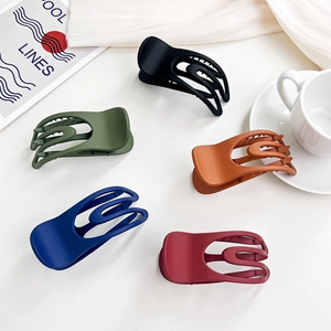 Set di cinque mollette per capelli opache con design curvo in colori assortiti moda