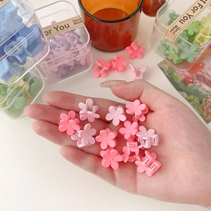Mini pinces à cheveux fleurs en résine aux couleurs macaron avec boîte de rangement