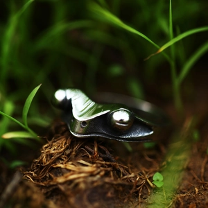 Macro detail of retro stainless steel frog ring nestled in natural soil and greenery