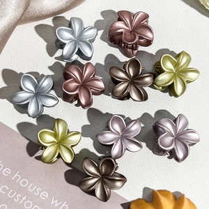 Set of 10 metallic Morandi color frangipani hair claw clips on white textured background