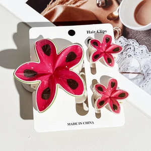 Macro shot of cute watermelon flower hair clips set on card packaging for women