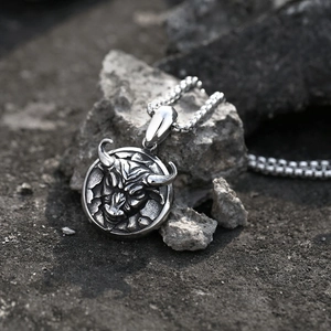 Vintage stainless steel bull head coin pendant necklace on a rugged rock background