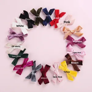 Plano cenital de 18 pinzas de pelo de terciopelo con textura fina y variedad de colores