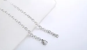 Polished stainless steel chain detail with lobster clasp and round ring links