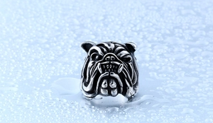 Gros plan sur bague tête de bouledogue en acier oxydé avec gouttes d'eau claires