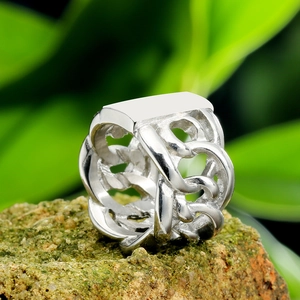 Mens stainless steel signet ring with interlocking chain sides on a mossy rock