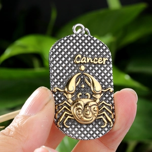 Colgante de Acero Inoxidable Retro Doce Signos del Zodiaco Solo Sin Cadena para Hombre Mujer Dog Tag Aries Leo Joyería