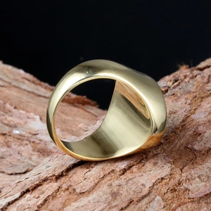 Detailed macro view of a polished gold titanium steel ring resting on natural tree bark