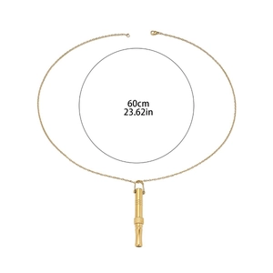 Detail showing the 60cm long fine link chain and golden meditation whistle pendant