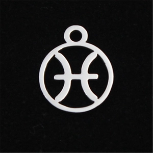 Macro view of silver hollow Pisces zodiac charm pendant in polished stainless steel