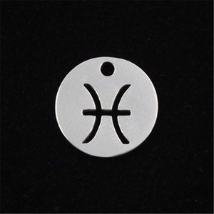 Detailed view of stainless steel Pisces zodiac pendant with brushed metal finish texture