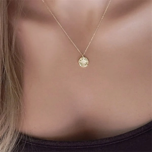 Élégant collier plaqué or 14K avec pendentif étoile en zircone sur un modèle