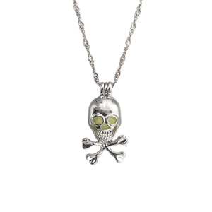 Lichtgevende schedelketting in gepolijst zilver met een fijne golfvormige ketting
