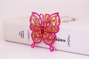 Détail d'un porte-clés papillon avec cristaux roses et pierres précieuses rouges
