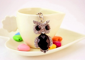 Detail of cute silver owl keychain with sparkling white rhinestones and black gem accents