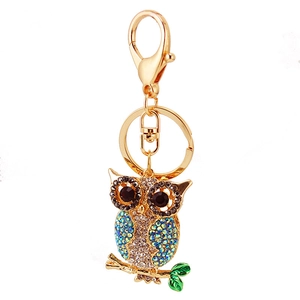 Colorful owl keychain with sparkling rhinestones and golden metal frame on white background