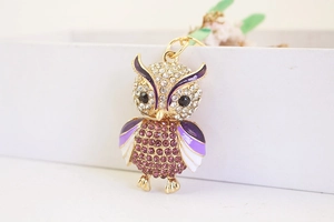 Nahaufnahme vom Eulen-Schlüsselanhänger mit lila Strass und Emaille auf einer Box