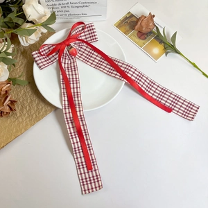 Détail du nœud papillon à carreaux rouges avec breloque fraise et longs rubans