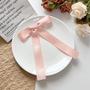 Gros plan d'un nœud en satin rose sur une assiette blanche avec décor floral élégant