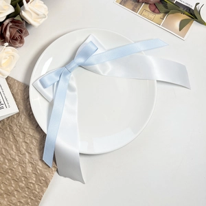 Détail d'un nœud en ruban satin bleu et blanc double épaisseur sur une assiette décorative