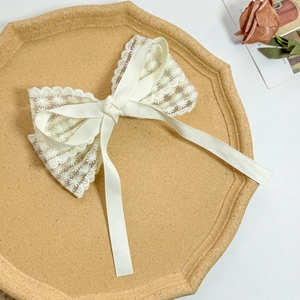 Détail de barrette élégante en dentelle crème avec broderie florale et rubans en satin