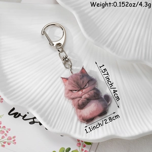 Detailed view of angry cat acrylic keychain with weight and size specifications on tray