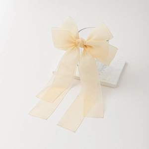 Détail de la pince à cheveux élégante en organza champagne avec longs rubans