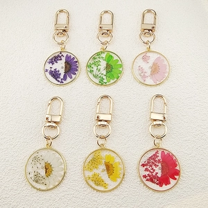 Detailed macro view of six colorful dried daisy flower resin charms with gold metal frames