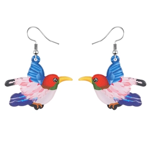 Détails des boucles d'oreilles colibri en acrylique coloré avec des crochets argentés