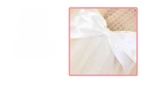 Détail de l'élégant nœud en satin blanc avec tissu en maille translucide délicat