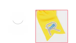 Détail de broderie lettre R et plume bleue sur un nœud de cheveux en ruban gros-grain