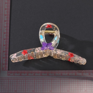 Elegant 11cm transparent acrylic hair claw clip with colorful dried flowers and gold spring